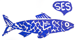 Fisk der siger ses i Kunstnær i Odense